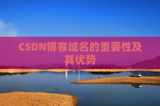 CSDN博客域名的重要性及其优势